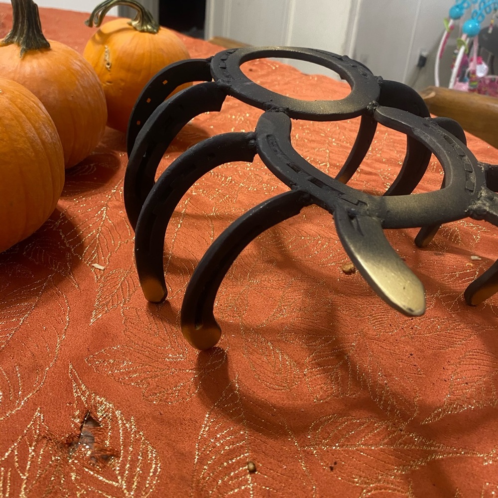 Horse shoe spider decoration